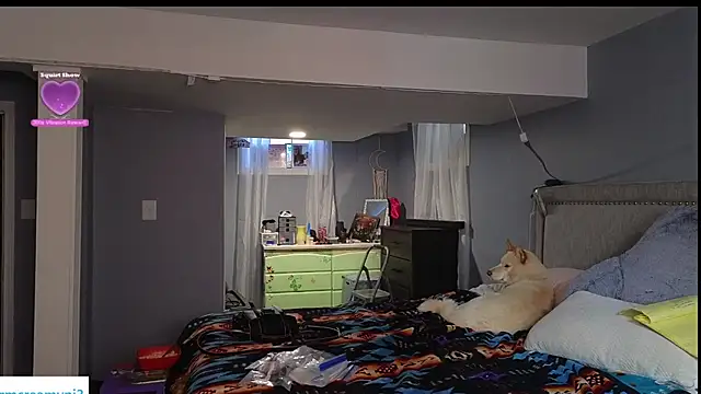 xofrankiefinexo online show from February 13, 6:53 pm