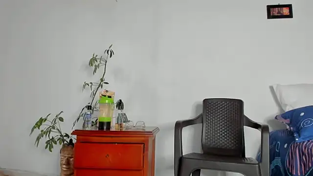 Carlota flow online show from October 7, 11:36 am