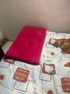 NICOLLE  12 online show from October 3, 6:13 pm