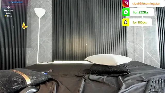 cloemorningstar online show from November 5, 4:56 pm