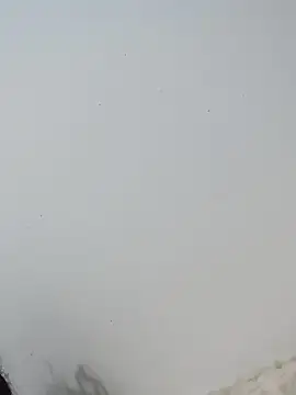  Bella Beth  online show from December 2, 12:56 am