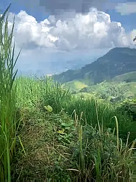 hi-hi-zz online show from October 8, 7:13 am