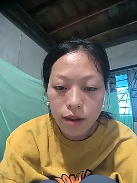 Zerin nova online show from November 2, 7:34 am