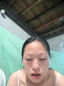 Zerin nova online show from November 1, 7:01 am