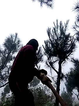 siusiu-00 online show from November 12, 3:04 am