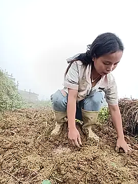 Nguyet2k4 online show from November 12, 7:06 am