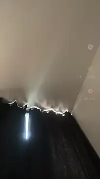 tata jhonns online show from November 27, 3:59 pm