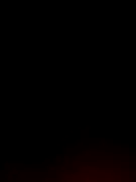 Tamil White Rose online show from April 4, 8:29 pm