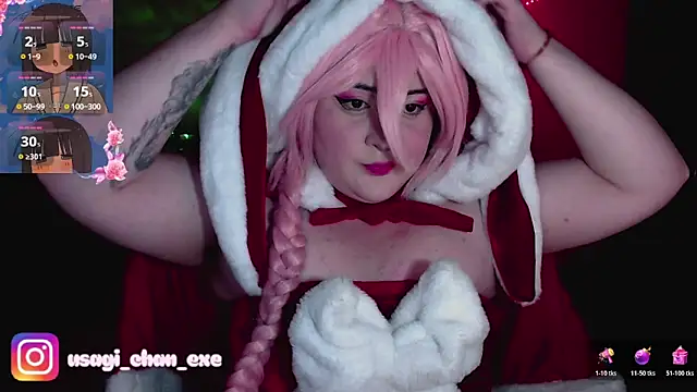 PixelAurora online show from November 7, 8:14 pm