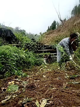 blonde blg online show from March 22, 9:15 am