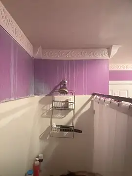 prplbunni online show from November 27, 9:50 pm