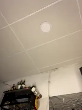 VeloraVyxen  online show from November 27, 2:58 am