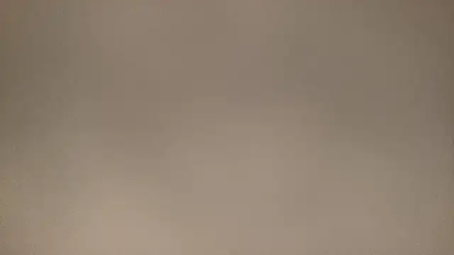 reo0281 online show from December 5, 7:19 am