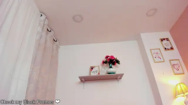 LauraRaider online show from November 28, 8:56 pm