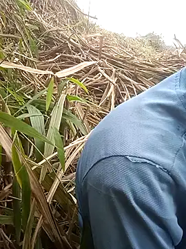 nangmo online show from March 13, 7:53 am