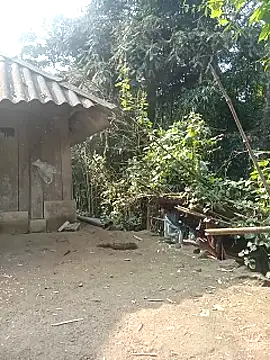 ava-dellght online show from January 13, 6:19 am