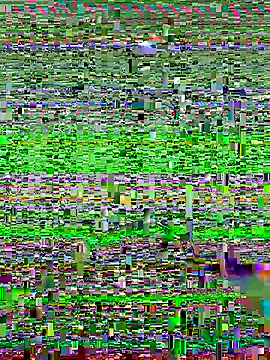 rbclark888x online show from December 3, 7:05 pm