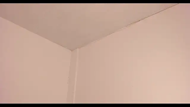 annelis x online show from April 20, 2:53 pm