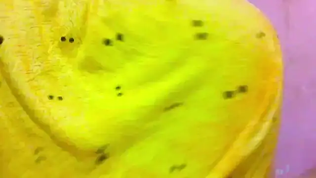 kondi Bula4 online show from December 19, 11:46 am