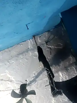 Akanksha soni online show from February 17, 4:39 pm