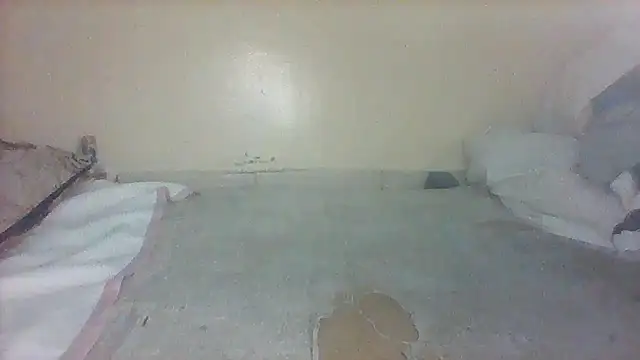 morongwacaroline online show from January 15, 8:04 pm