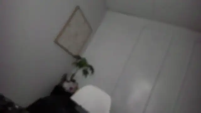 MissTransUSA online show from February 6, 6:33 pm