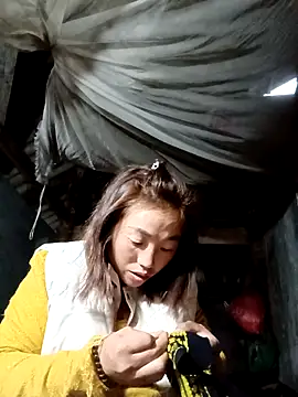 seacyre online show from February 10, 11:52 pm