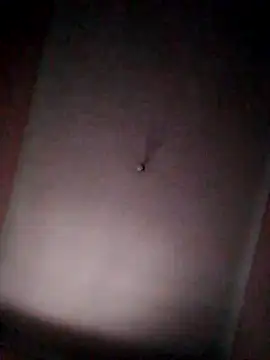 MOHRAARAB online show from December 22, 1:14 pm