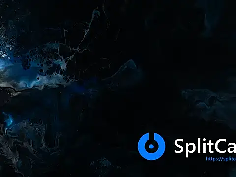 Alice NY online show from January 17, 6:32 am