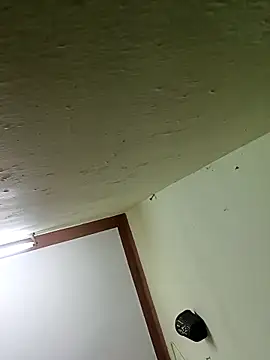 Aanurani online show from February 15, 11:09 am