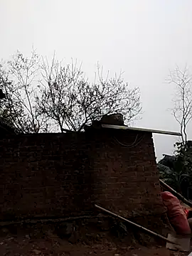 miray- online show from February 10, 8:17 am