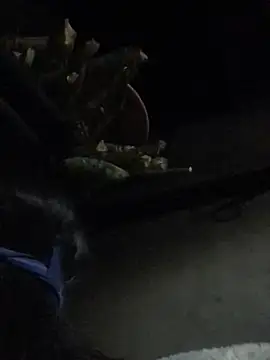 sun-shii online show from February 8, 10:45 pm