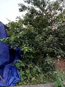 -Likin- online show from April 10, 11:05 am