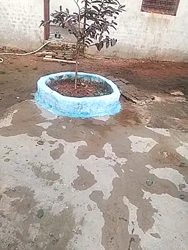 CUTE khusabi online show from January 18, 6:21 am