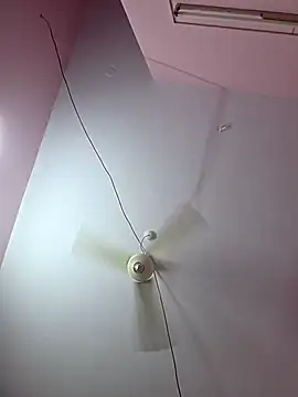 pavso1438 online show from January 17, 12:01 pm