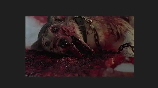 lil monikaa online show from April 12, 1:52 am