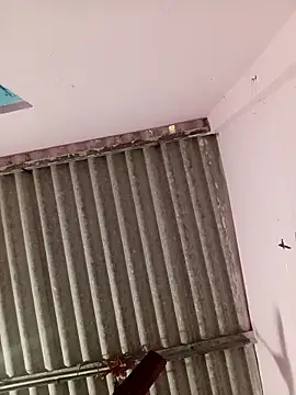 ROMASARKAR online show from February 12, 9:33 am