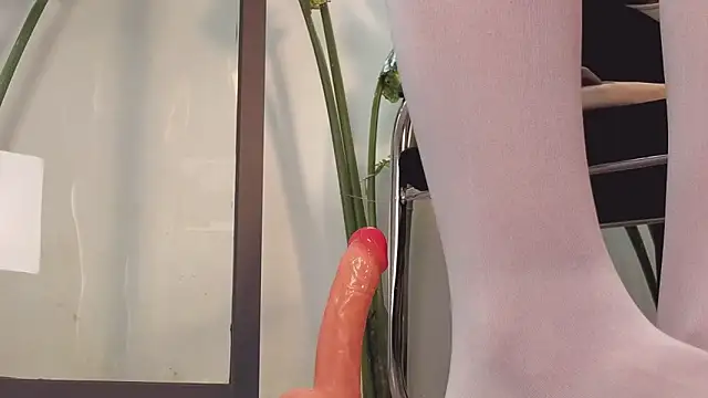 came-a-lot online show from February 20, 2:10 am