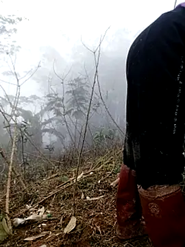 Tina-beo online show from March 21, 8:19 am