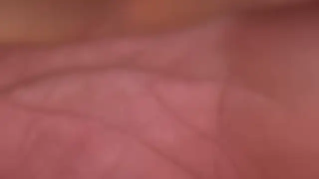 ctguybj online show from June 22, 4:42 am