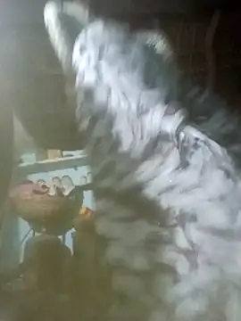 Manu mehta online show from March 11, 5:04 pm