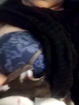 oxavector online show from February 3, 8:08 am