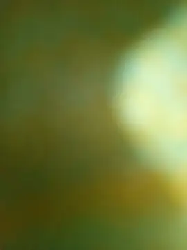 Rithu SL online show from March 10, 10:19 am