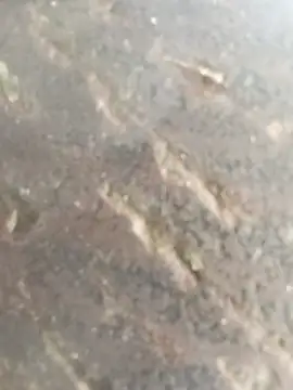 Anjli hote online show from February 21, 7:09 am