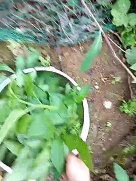 Girl-crazy1 online show from March 9, 9:34 am