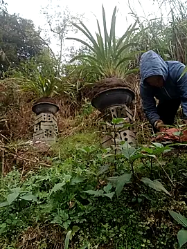 nelina 12345 online show from February 15, 9:08 am