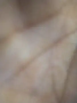 Lal pari 256 online show from February 28, 12:48 pm