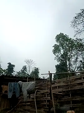 lyly sexx online show from March 13, 7:42 am