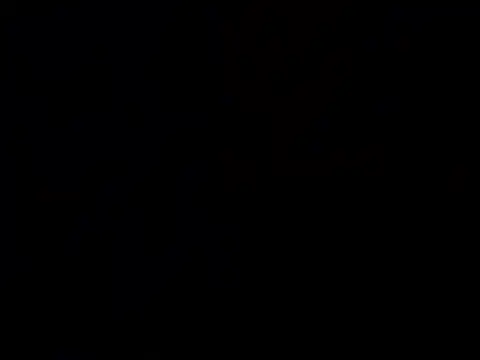 Nutty2in1 online show from February 28, 6:57 am