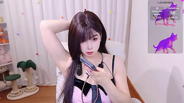 August cat online show from July 28, 2:20 am